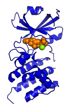 Proteinkinase R