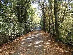 Allee im Schlosspark