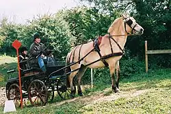 Halten am Berg ohne Bremse