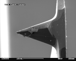 3000-fache Vergrößerung