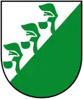 Wappen von Nesselwängle