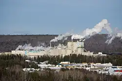 Papierfabrik in Nackawic