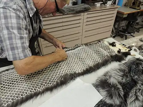 Berändern eines galonierten Silberfuchsfells