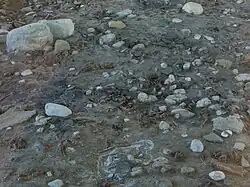 Abguss des magdalènienzeitlichen Siedlungshorizonts