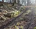 Römische Gleisstraße im Mörsdorfer Wald als Seitenstraße am Flurweg Richtung Beurenkern
