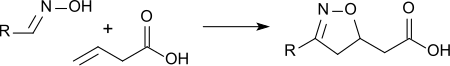 Cycloaddition von 3-Butensäure mit Oximen