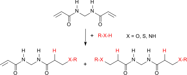 Nukleophile Addition an N,N′-Methylenbisacrylamid