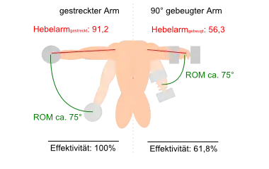 Effektivität des Seithebens in Abhängigkeit von Ellbogenwinkel