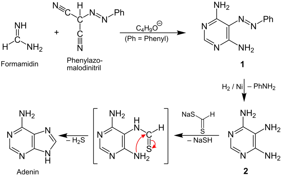 Reaktionsmechanismus zur Synthese von Adenin