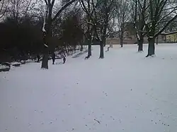 Adlerwiese in Frankfurt-Praunheim, Rodelhang