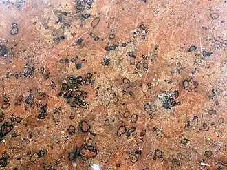 Typ Lienbacher (Adneter Rot)