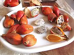 Aframomum alboviolaceum (ähnlich sind Aframomum albiflorum, Aframomum angustifolium, Aframomum mala, Aframomum melegueta, Aframomum corrorima u.&nbsp;a.)