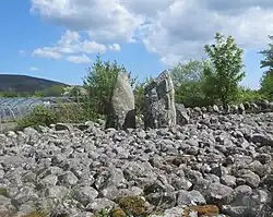 Aghnaskeagh Portal Tomb