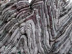 Detail der Felsformation