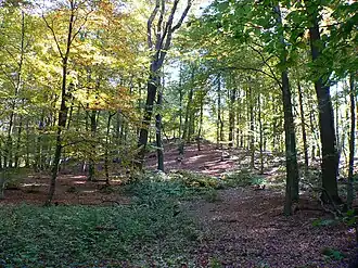 Basaltkuppe des Ahlbergs