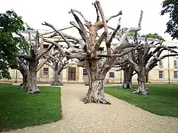 Trees, 2010. Installiert seit 2016 am Downing College in Cambridge