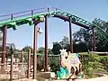 Air Grover in Busch Gardens Tampa