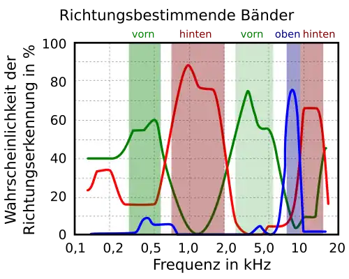 Richtungsbestimmende Bänder