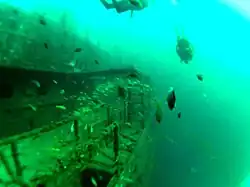 Fischschwärme an der Backbordseite