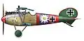 Von Paul Bäumer in der Jasta&nbsp;5 geflogene Albatros D.V