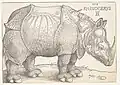 Albrecht Dürer: Rhinocerus