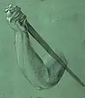 Albrecht Dürer: Arm mit Dolch, 1508. Formstrich in Weiß, Grau und Schwarz