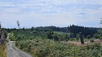 Albrechtsberg vom Rothaarsteig fotografiert