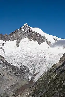 Mittelaletschgletscher und Aletschhorn