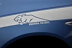 Panther am vorderen Kotflügel