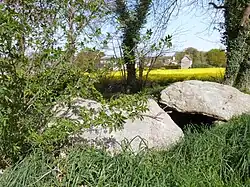 Allée couverte de l'Epine