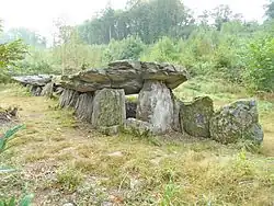 Allée couverte von Loch-ar-Ronfl