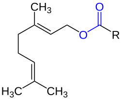 Allgemeine Struktur der Geranylester