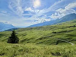 Die Alp Selun, wo Johannes Seluner gefunden wurde