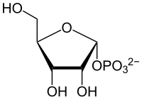 Strukturformel von Ribose-1-phosphat