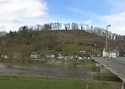 Das Bild zeigt einen Wald voller kahler Bäume, der hinter einem kleinen Dorf und einem Fluss liegt.