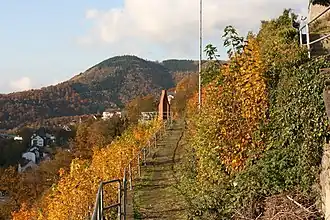 Blick von der Burg Altena auf den Wixberg