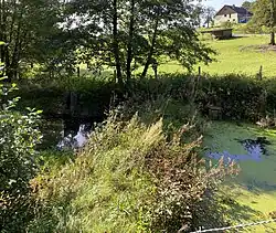 Altenbachtal – Teich bei Dicke