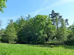 Burgfelsen Altenhaus. Davor Feldaist und Talboden