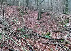 vermutlich das eingefallene Mundloch des König-Wilhelm-Stollens