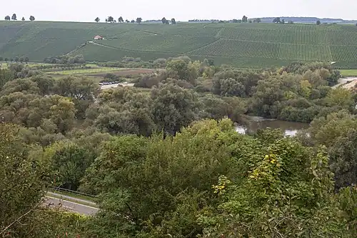 Alter Main bei Volkach