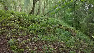 stark abfallender Wall zur Talseite, Nordwestseite (Richtung Beerbach)