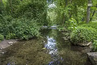 Bach zwischen Zwinger und Dorfsee