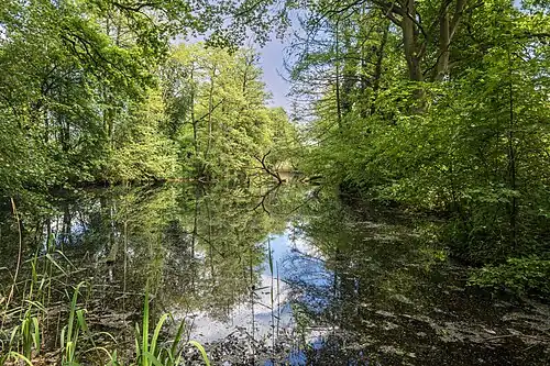 Westlicher Weiher