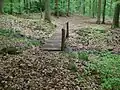 Zugang über Holzbrücke