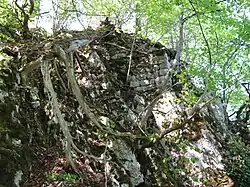 Bild 7: Südöstliche Burgfelsseite