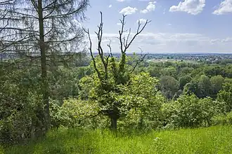 Blick ins Schweinfurter Becken, am Horizont der Steigerwald