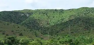 Blick auf die Hügel aus dem South Central Railway.