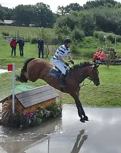 Andreas Ostholt mit QNA (2010)