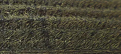 Abb. 4: Ausschnitt Flügeldecke