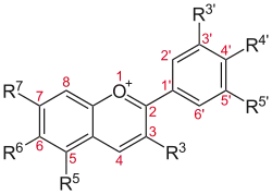 Anthocyanidine